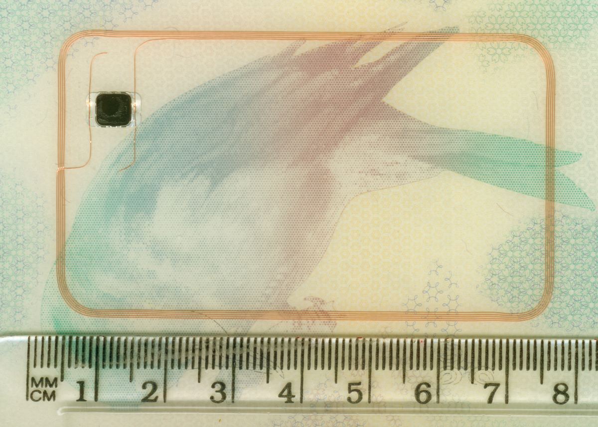 La puce et l'antenne d'un passeport biométrique britannique de 2007, avec une règle pour l'échelle.