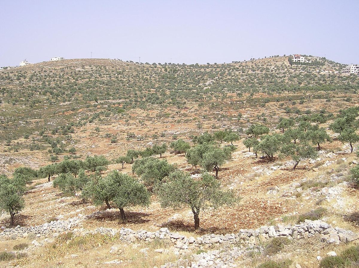 Taybeh, village chrétien de Cisjordanie à une quinzaine de kilomètres au nord-est de Jérusalem (photo de 2005).