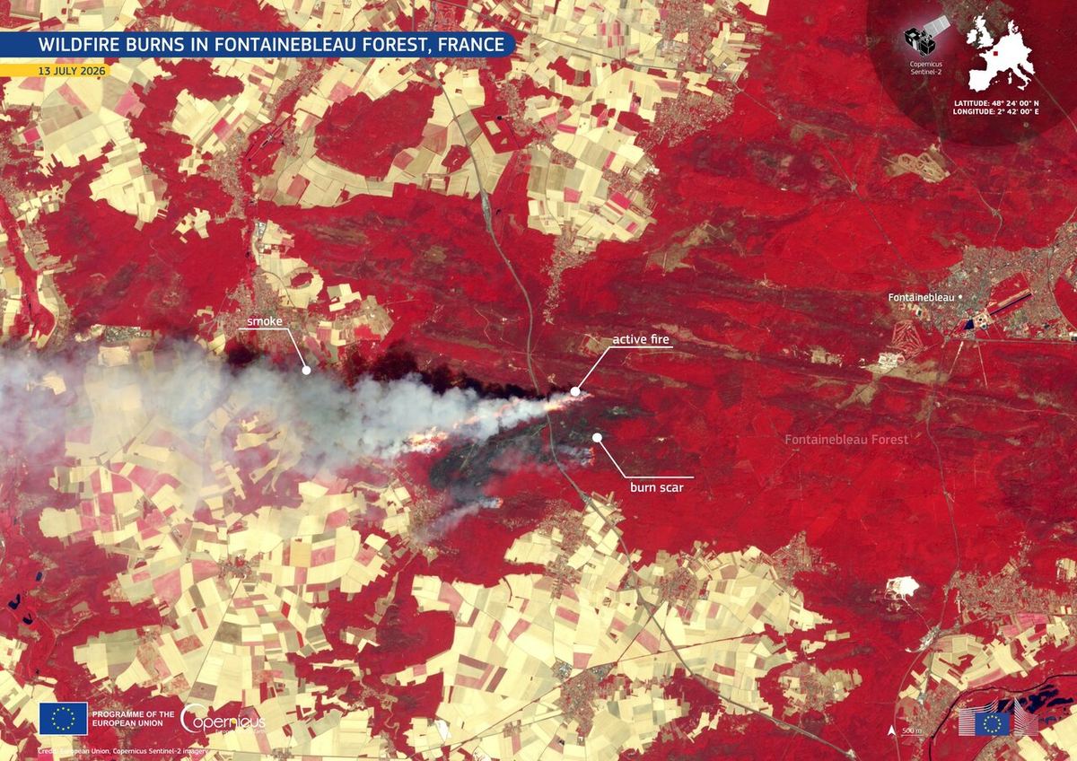L'incendie de la forêt de Fontainebleau (Seine-et-Marne) vu par le satellite Sentinel-2 le 13 juillet 2026, au lendemain du départ du feu.