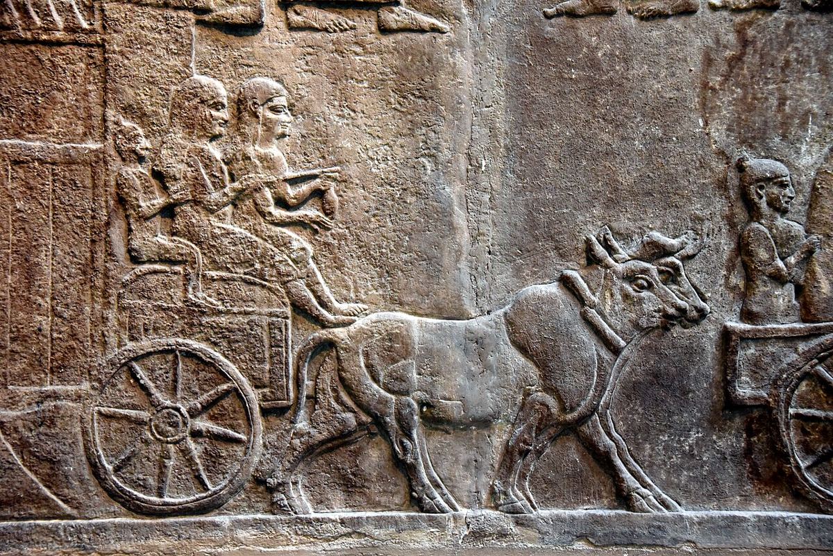 Relief de Nimrud (vers 728 av. J.-C., British Museum) : habitants d'une ville babylonienne déportés sous Tiglath-Piléser III. Atteste la pratique assyrienne de déportation, pas l'exil d'Israël lui-même.